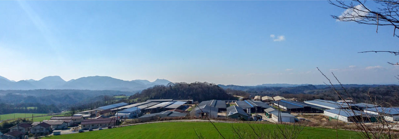 大田原農場全景